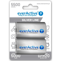 EverActive D R20 NiMH 5500m Silver B2 excetra web shop
