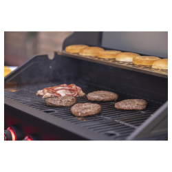 Fieldmann plinski roštilj FZG 3030 excetra web shop